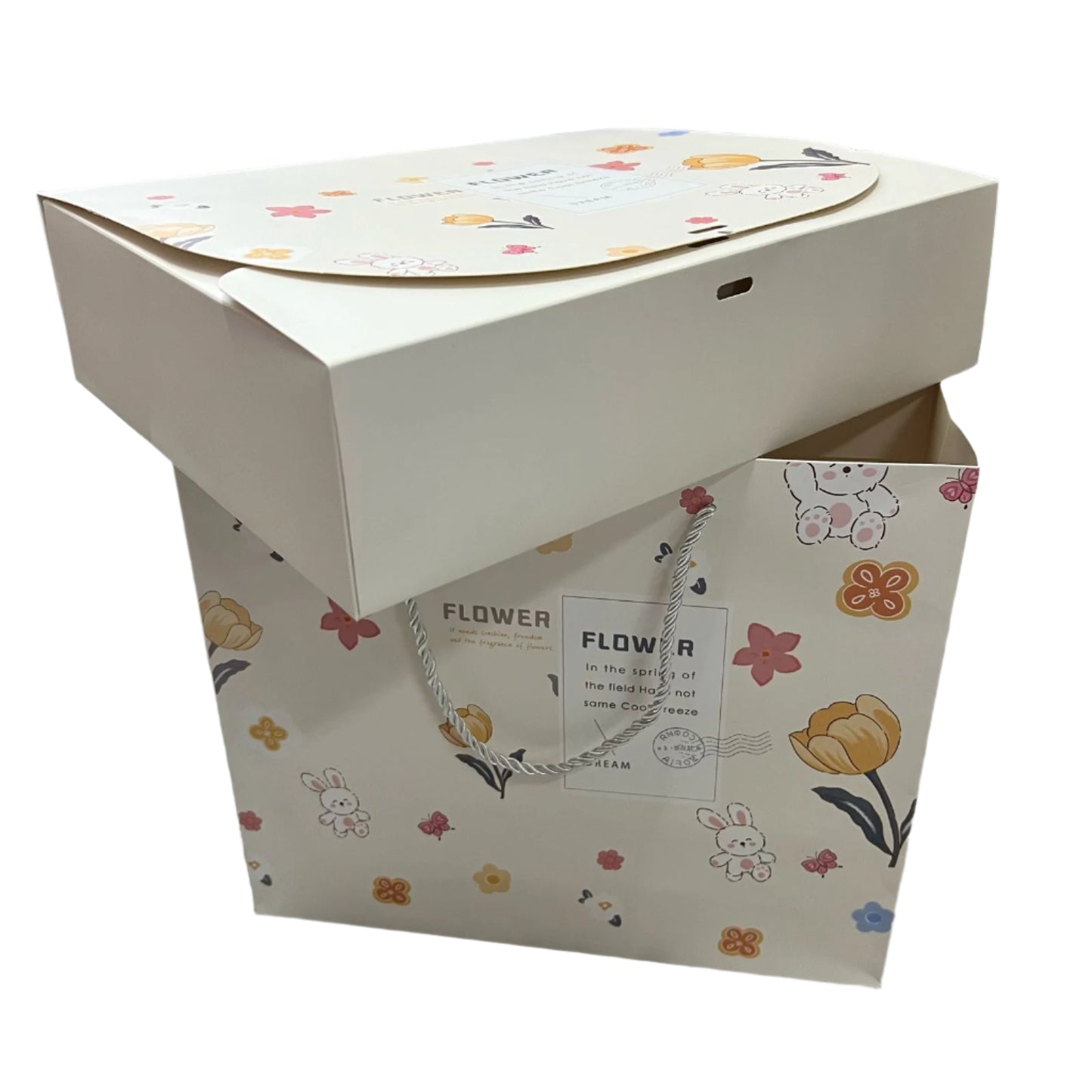 Bolsa para Regalo con caja