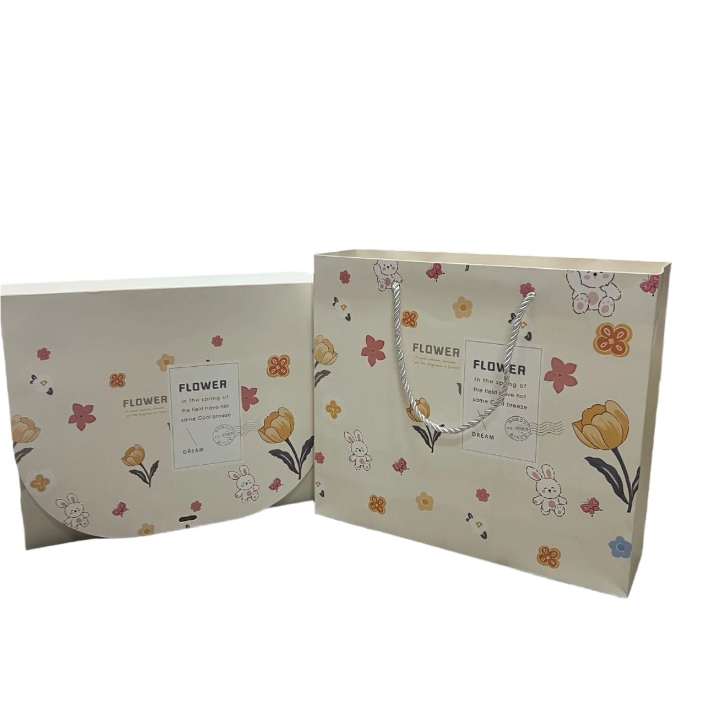 Bolsa para Regalo con caja
